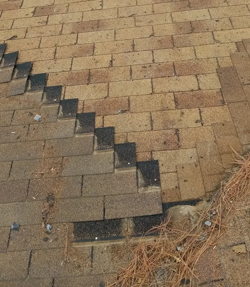 Slide of Post Roofing & Tree Services