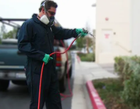 Slide of POW! Bug Squad