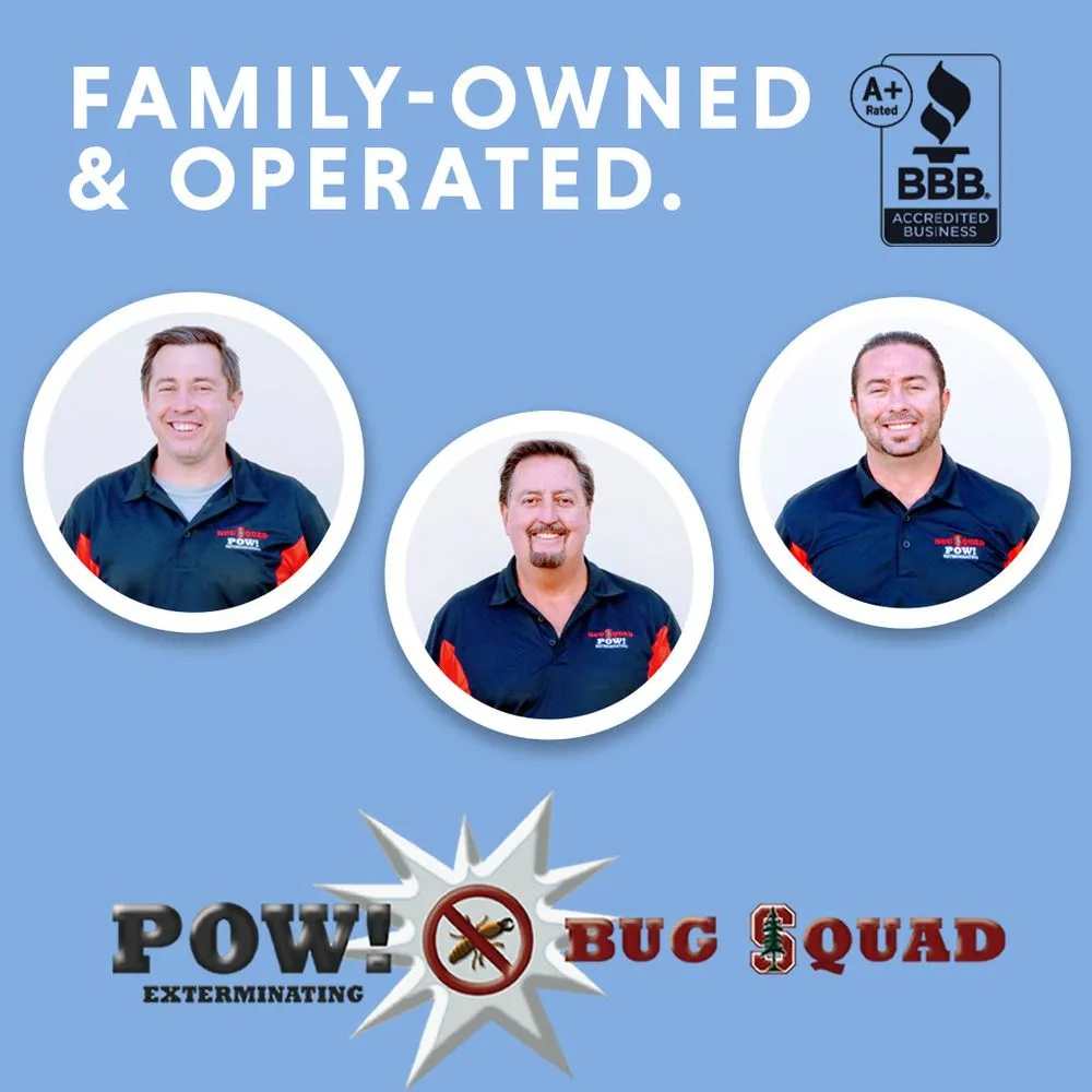 Slide of POW! Bug Squad