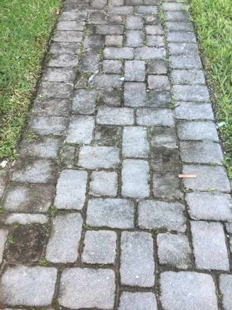 Slide of Power Clean of Central Florida