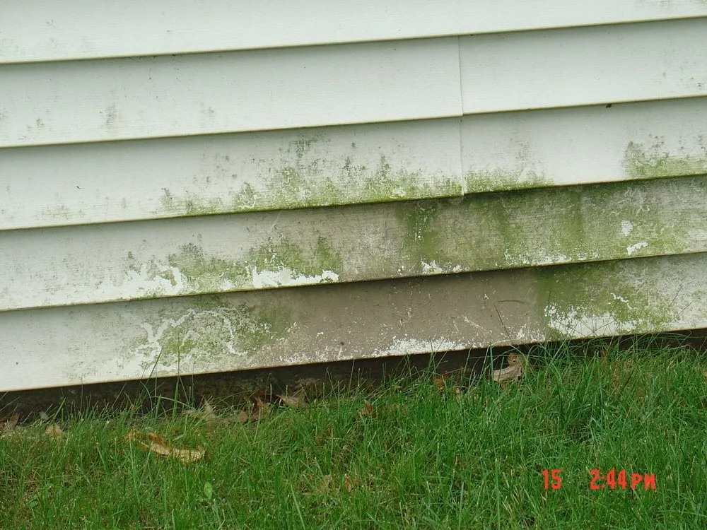 Slide of Power Washing Dragon and Painting