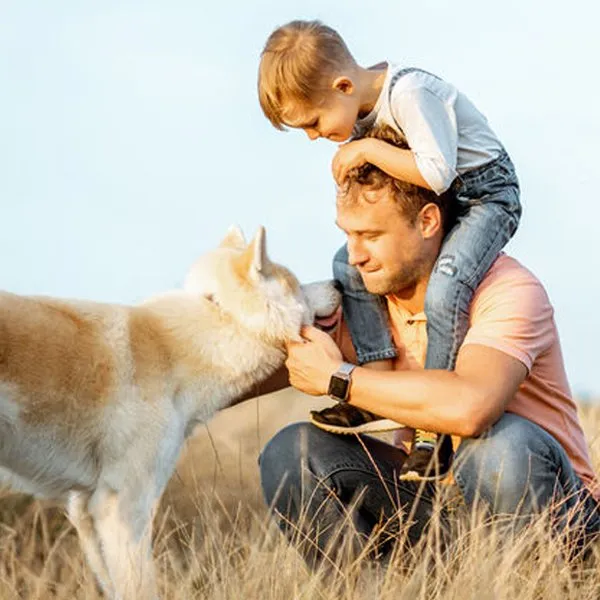 Slide of Powerhouse Contracting