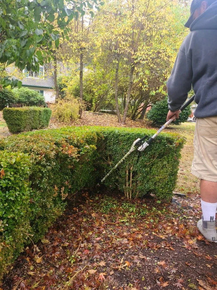 Slide of PowerWash-ington