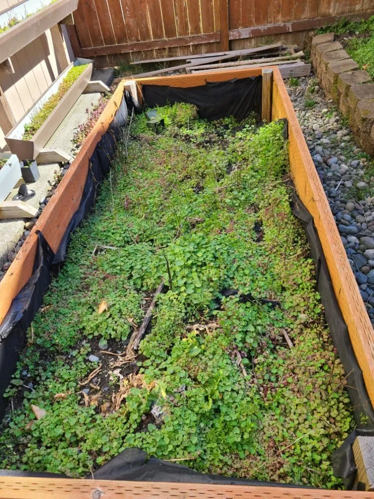 Slide of PowerWash-ington