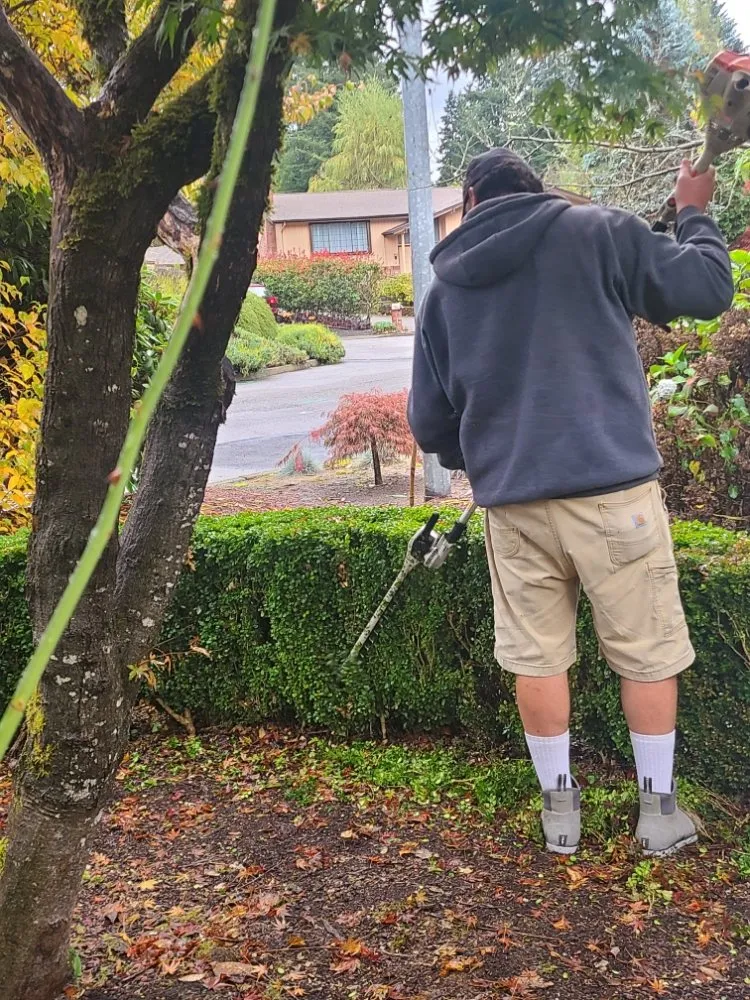 Slide of PowerWash-ington