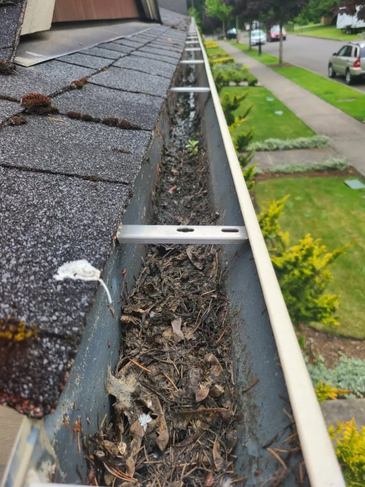 Slide of PowerWash-ington