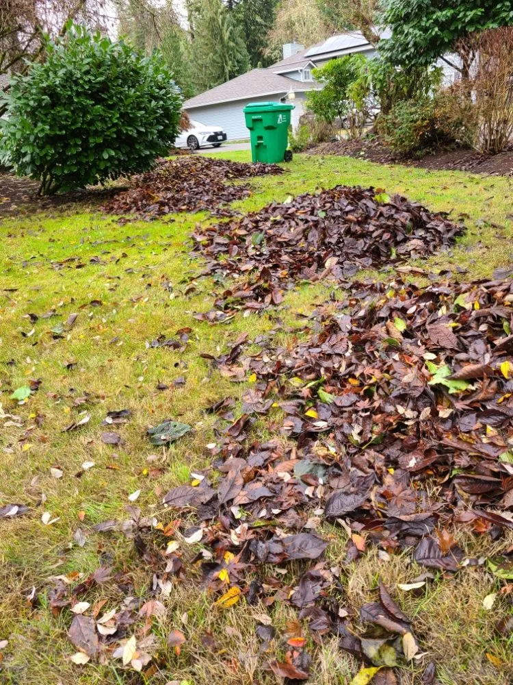 Slide of PowerWash-ington