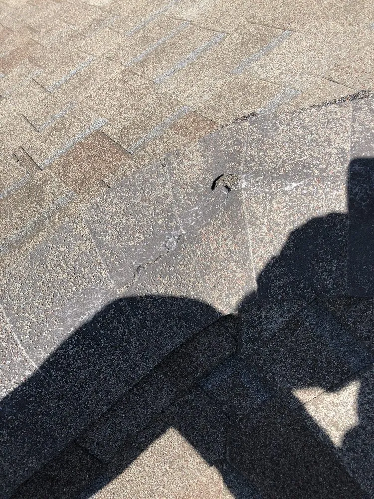 Slide of Praus Construction