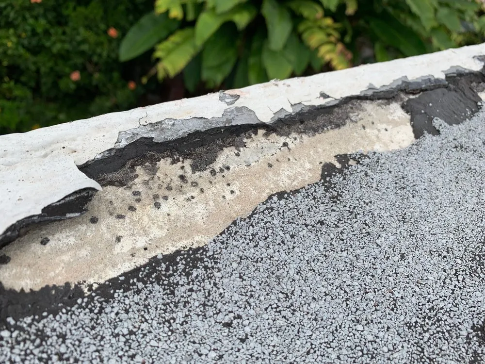 Slide of Praxis Industries