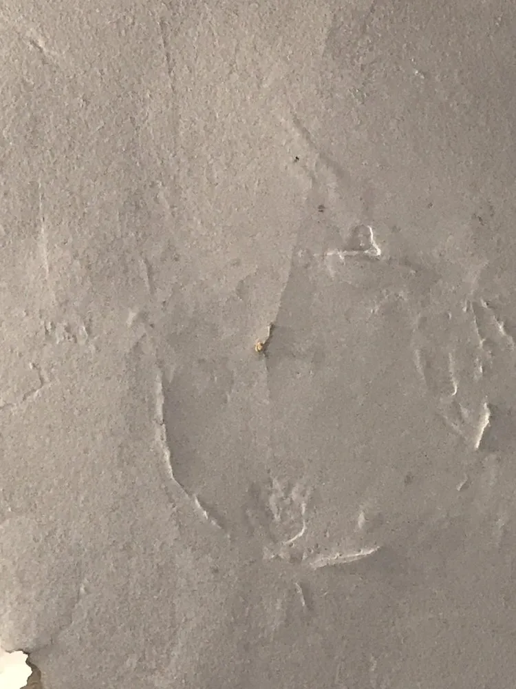 Slide of Praxis Industries