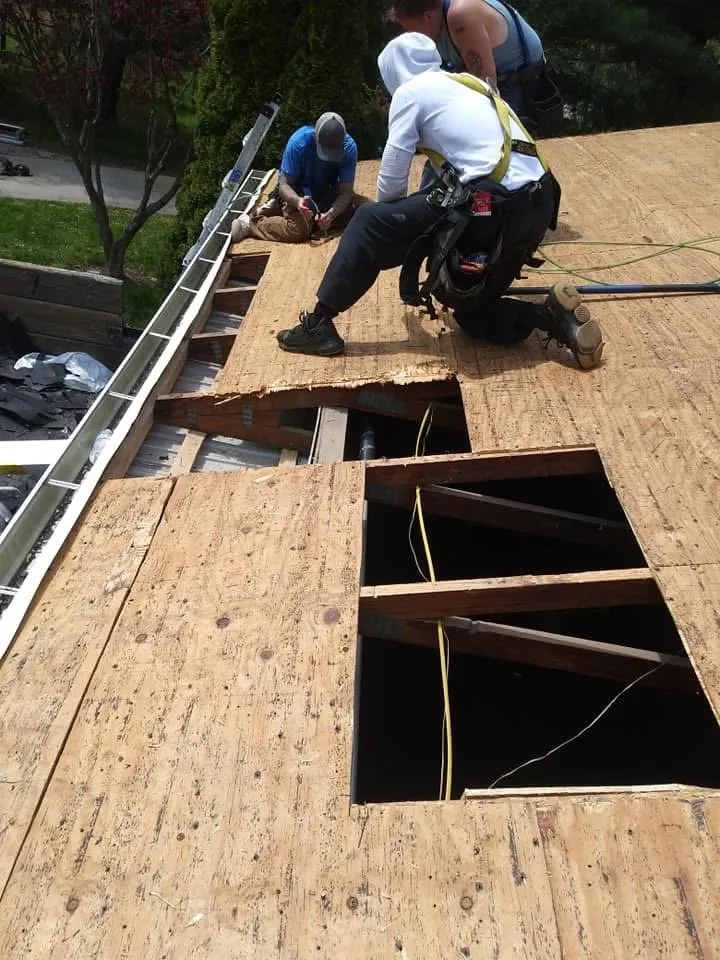 Slide of Precious Roofing