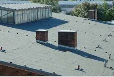 Slide of Precision Air Gun Ammo