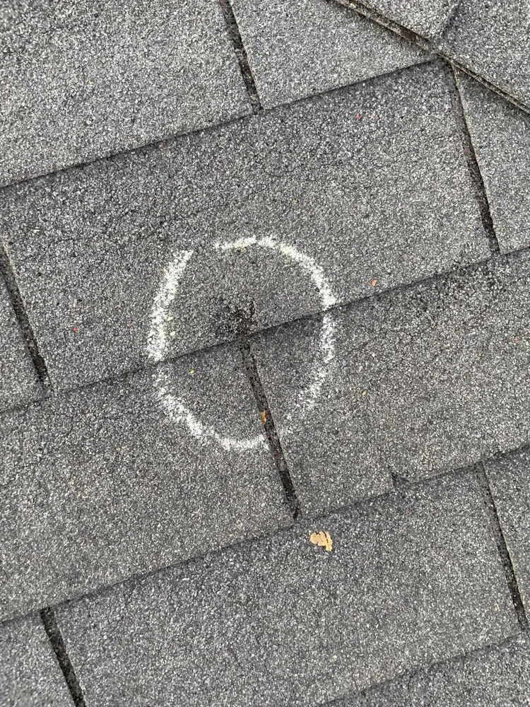 Slide of Precision Exteriors Restoration