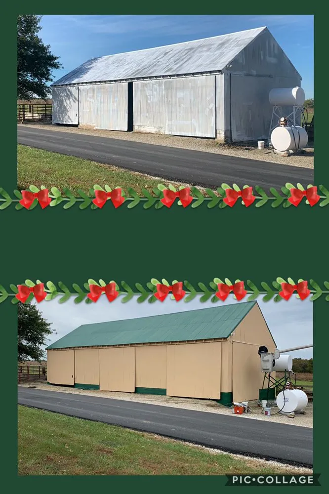 Slide of Precision Pros Painting