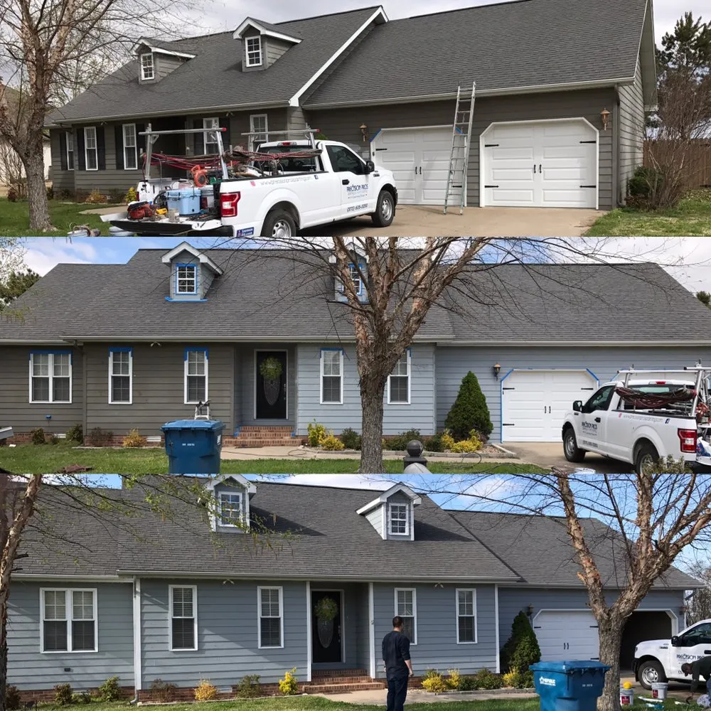 Slide of Precision Pros Painting