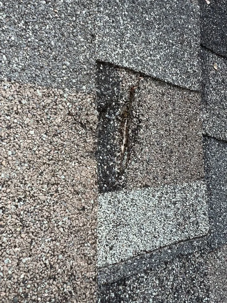 Slide of Precision Renovations