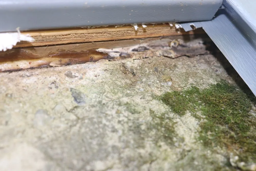 Slide of Precision Renovations