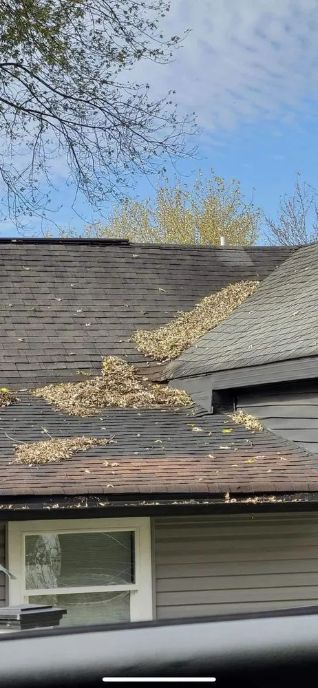 Slide of Precision Roofing