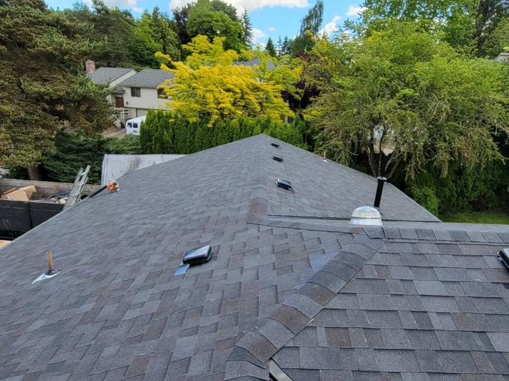 Slide of Predator Roofing And Construction