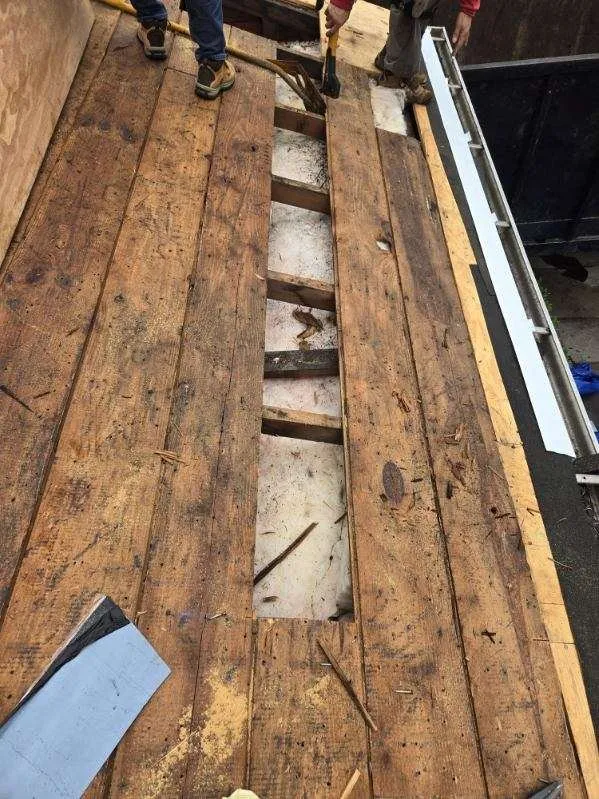 Slide of Preferred Exterior