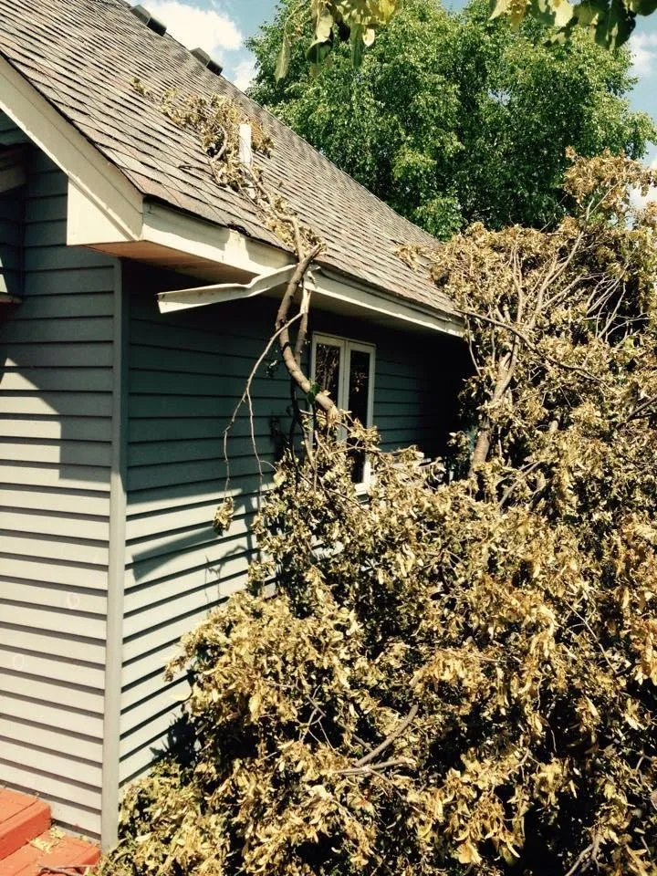 Slide of Preisler Company