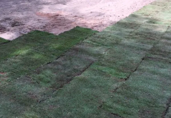 Slide of Premier Atlantic