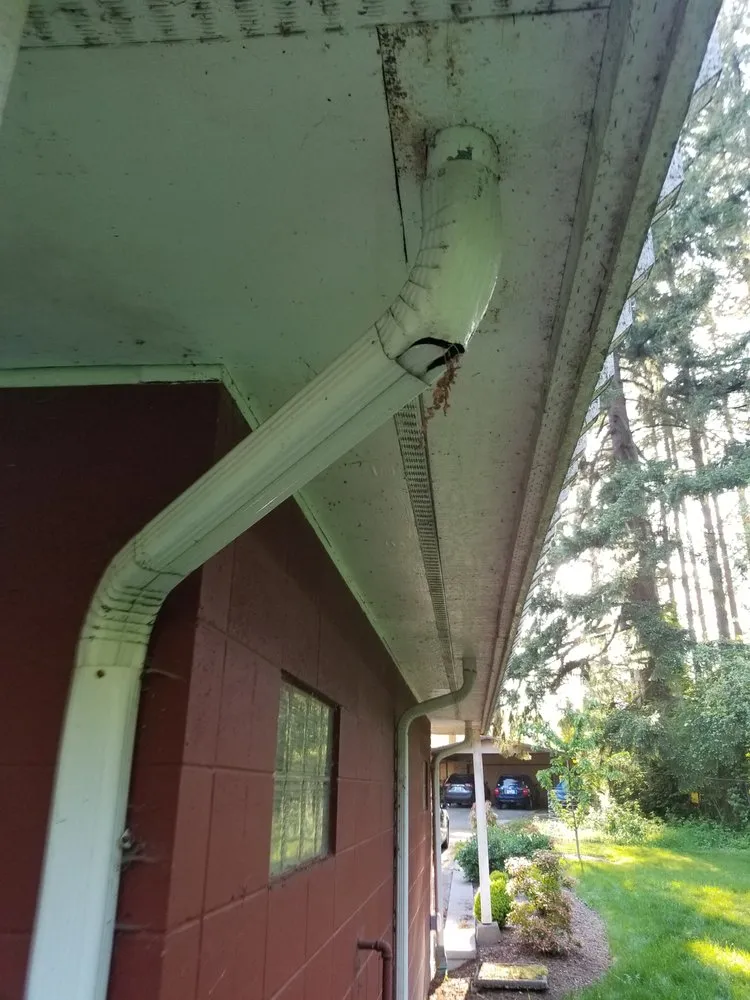 Slide of Premier Energy Solutions