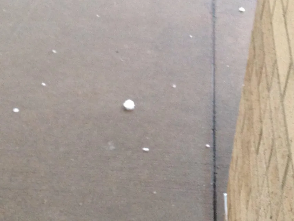 Slide of Premier Plus