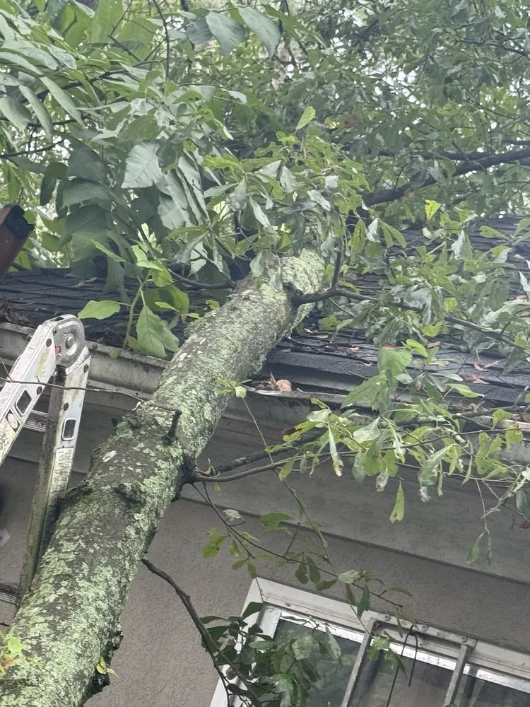 Slide of Premier Roofing and Construction