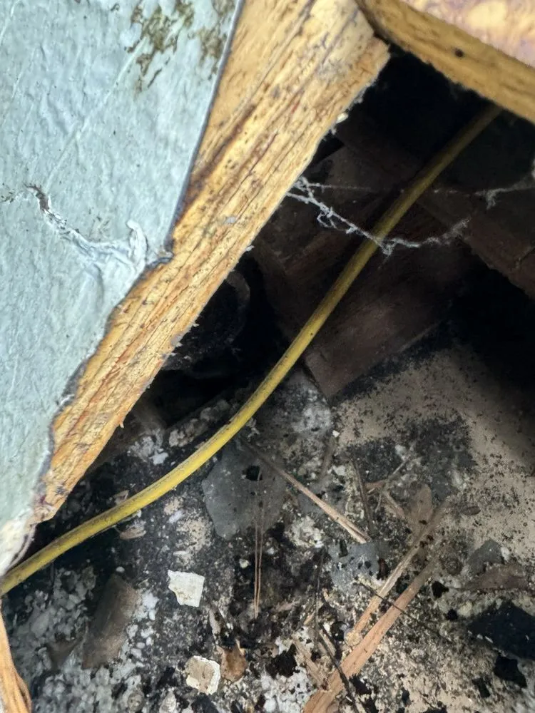 Slide of Premier Roofing and Construction