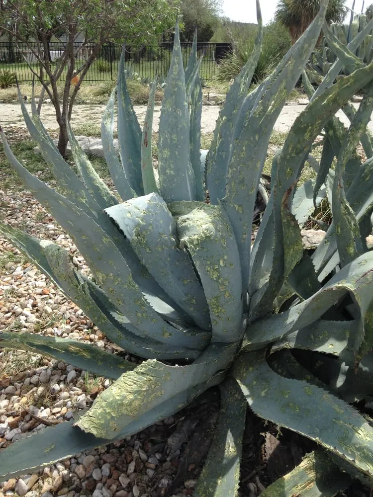 Slide of Premier Roofing