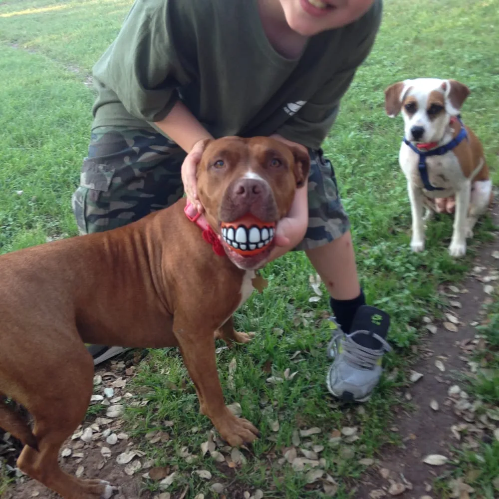 Slide of Premier Roofing