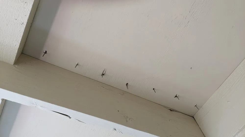 Slide of Premier Roofing CA