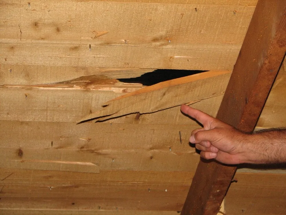 Slide of Premiere Roofing