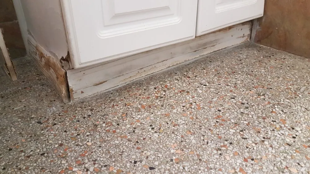 Slide of Premium Payment Relief