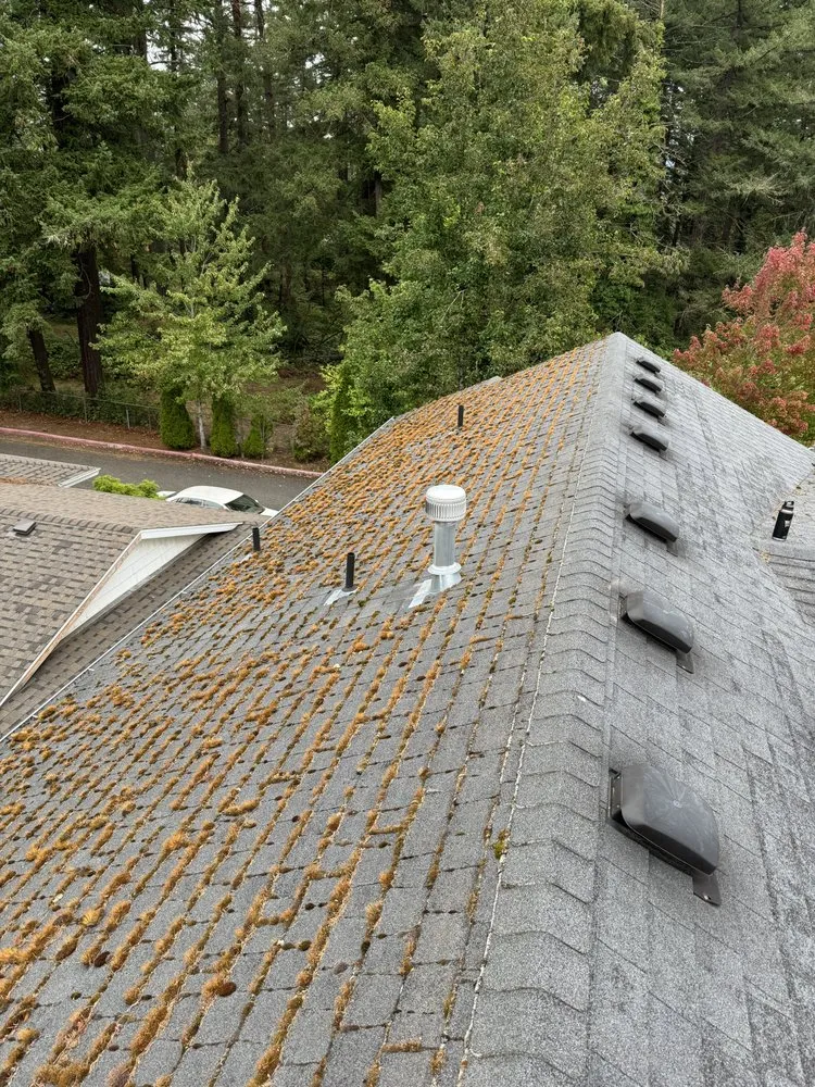 Slide of Premium PowerWash