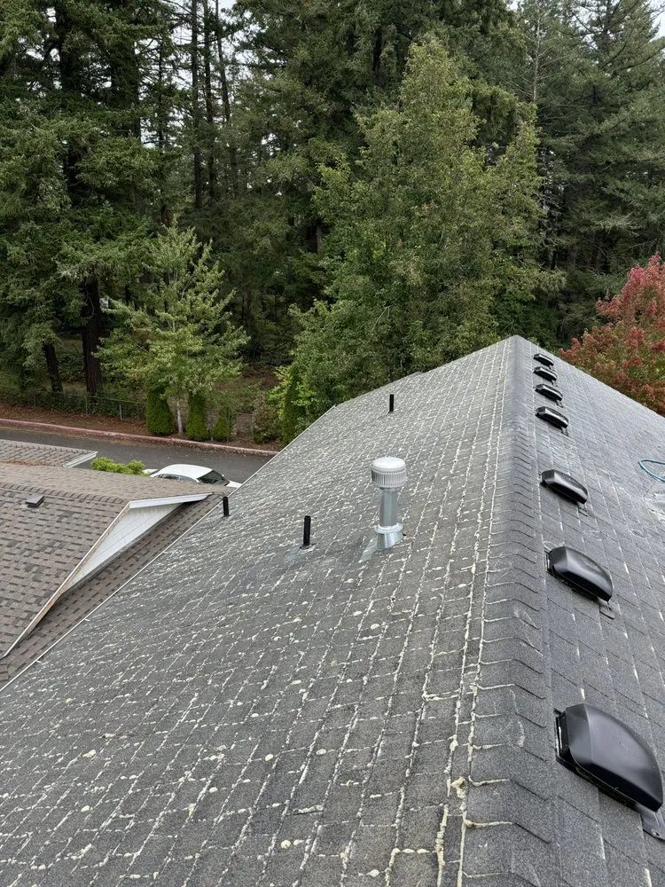 Slide of Premium PowerWash