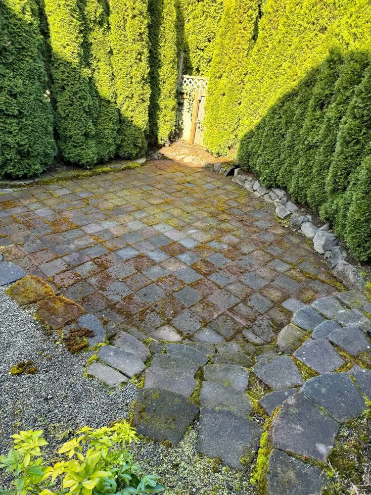 Slide of Premium PowerWash