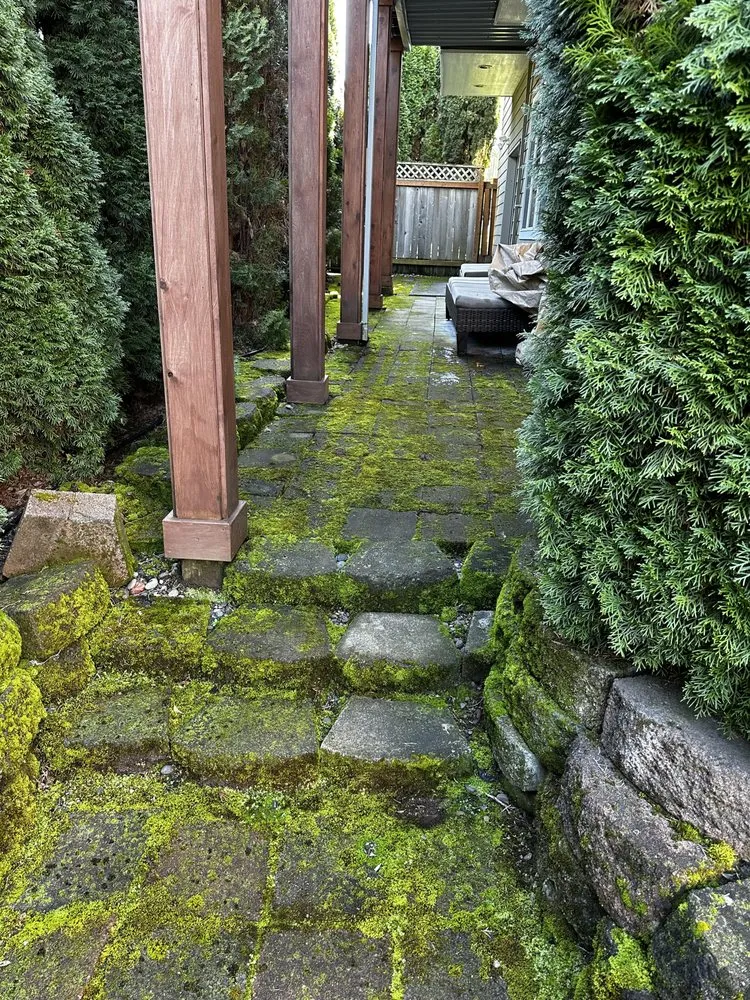 Slide of Premium PowerWash