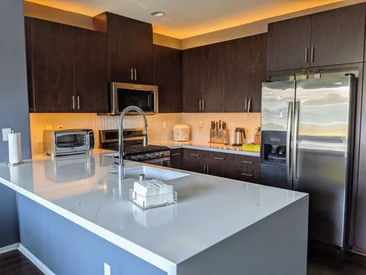 Premium Remodeling Logo
