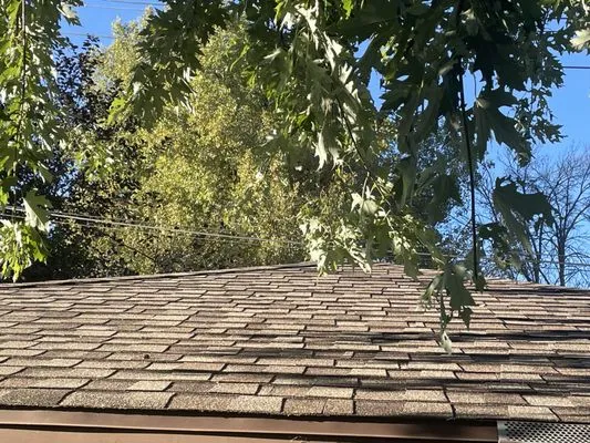 Premium Roofing Logo