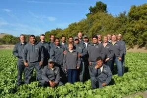 Slide of Premo Roofing