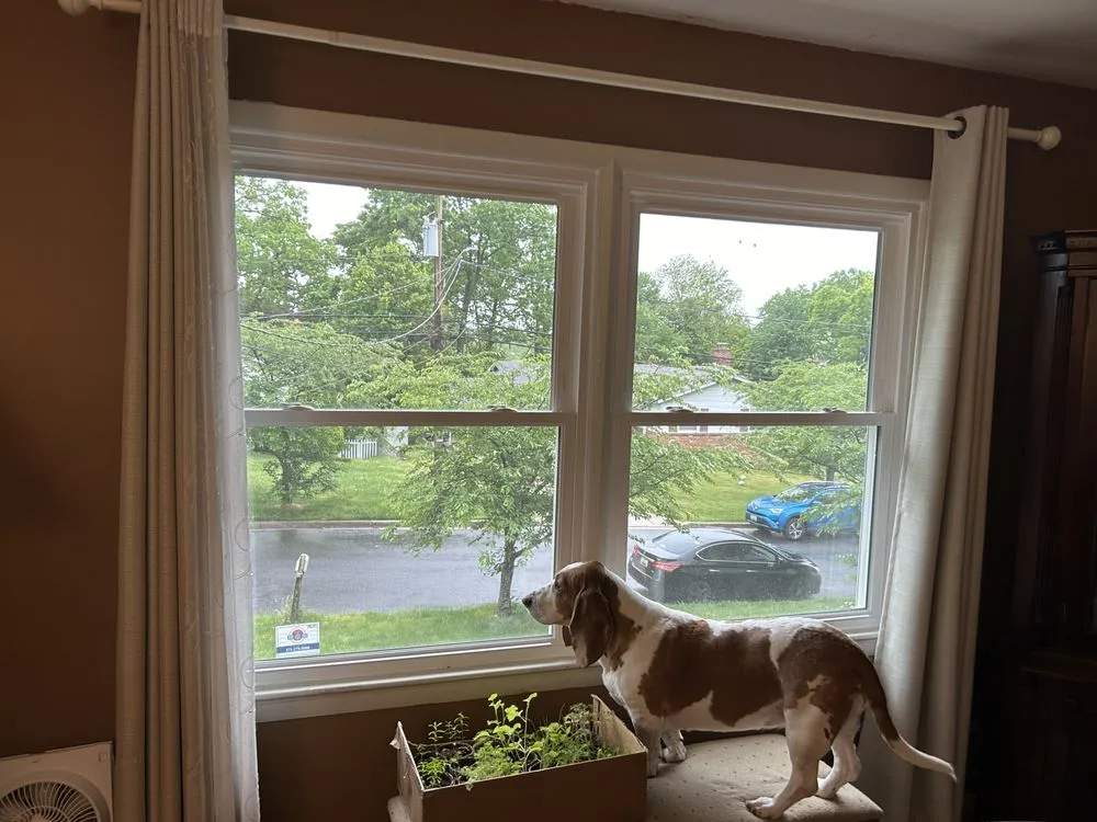 Slide of Presidential Exteriors