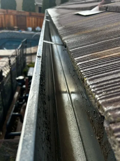 Slide of Pressure Applied Soft Wash