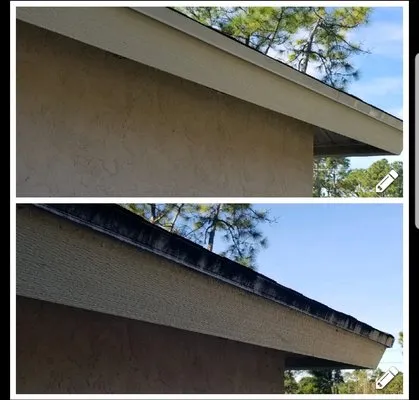 Pressure Kings of Palm Beach Logo