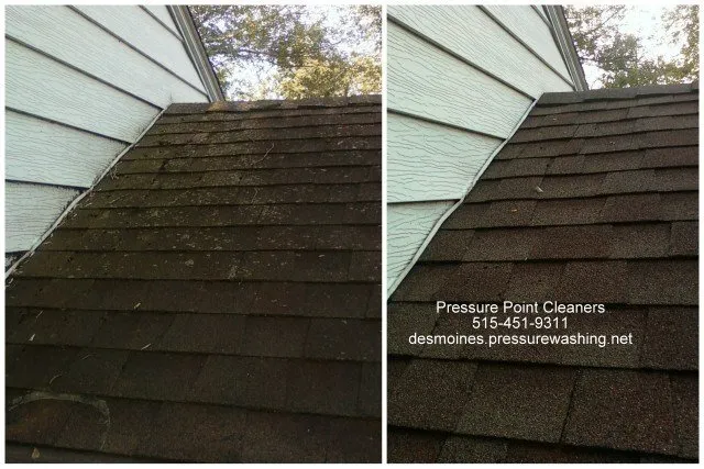 Slide of Pressure Point Cleaners