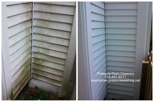 Slide of Pressure Point Cleaners