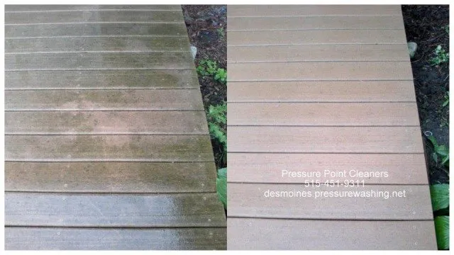 Slide of Pressure Point Cleaners