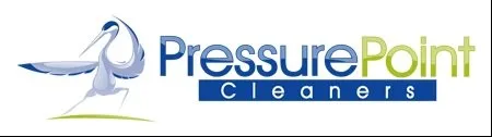Slide of Pressure Point Cleaners