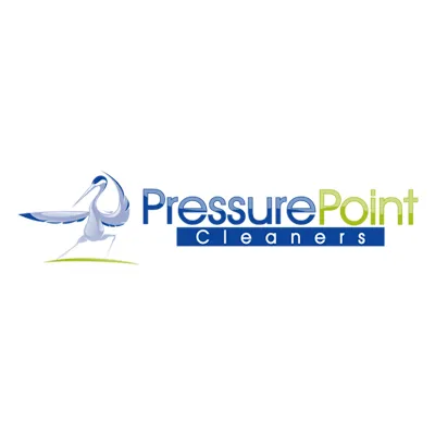 Slide of Pressure Point Cleaners